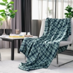 Blanket ARDESTO Fleece, green plaid, 160х200 cm ART0702PB