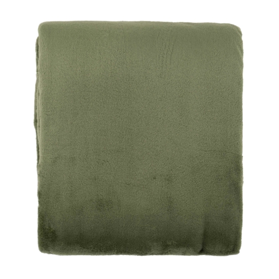 ARDESTO Flannel blanket, 200×220 cm, green ART0212SB