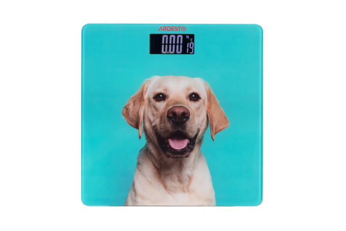 ARDESTO Scales for floor DOG, 150кг, 2хААА included, glass, multi-colored