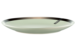 ARDESTO Dinner plate Liguria, 26 cm, Green bay, ceramics