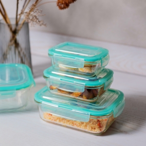 ARDESTO Food storage container Gemini 0.4l, borosilicate glass, plastic, rectangular, transparent, blue