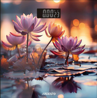 ARDESTO Весы напольные LOTUS, 150кг, AAAx2 в компл, стекло, многоцветные