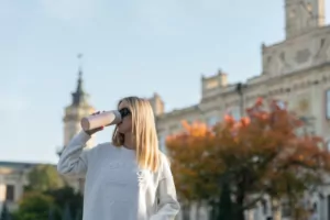 Thermal Mug ARDESTO CaldoCup 450 ml AR2645LS