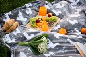 ARDESTO Плед Flannel, 160х200см, 100% полиэстер, ламы