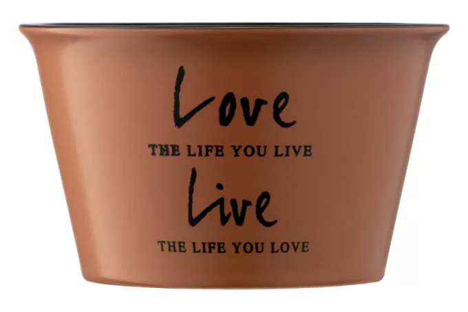 ARDESTO Bowl Way of life, 550ml, ceramics, brown