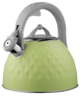 ARDESTO Kettle Gemini, 2.5l, stainless steel, green