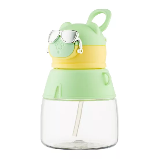 ARDESTO Bottle Space 550ml, plastic, green