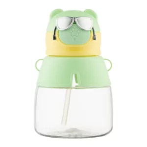 ARDESTO Bottle Space 550ml, plastic, green