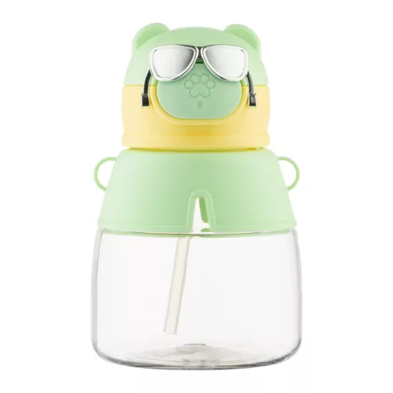 ARDESTO Bottle Space 550ml, plastic, green